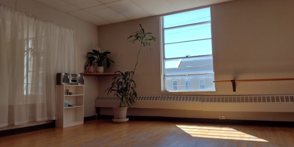 small to medium sized room with hardwood floors, mirrors, plants, windows, a radio, and a ballet bar